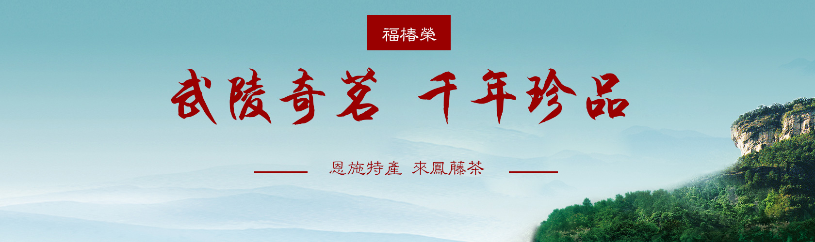 來(lái)鳳福椿榮藤茶